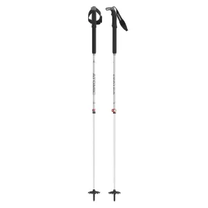 BCT touring SQS poles - Silver