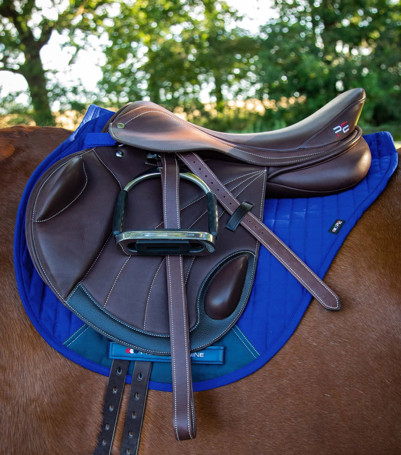 Close Contact Cotton Cross Country Saddle Pad Royal Blue