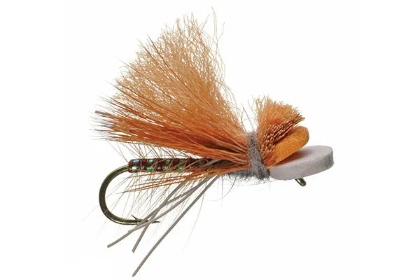 Foam October Caddis Skater - Umpqua