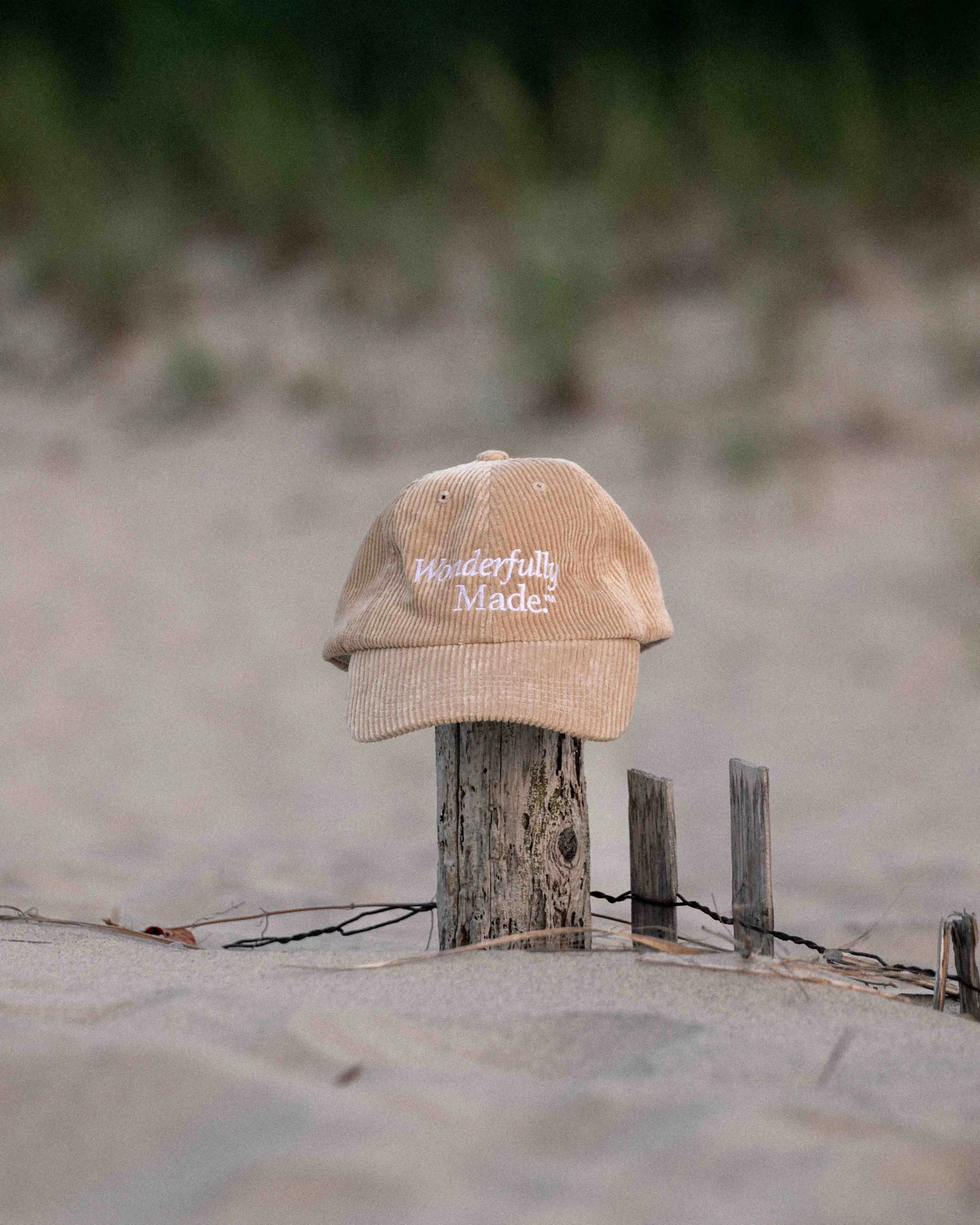 Wonderfully Made Corduroy Hat